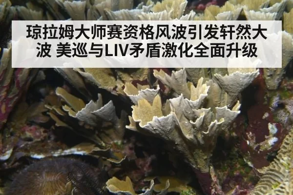 琼拉姆大师赛资格风波引发轩然大波 美巡与LIV矛盾激化全面升级